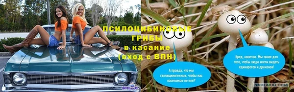 сатива Михайловск