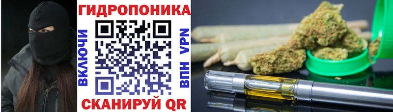 сайты даркнета состав  Новая Ладога  Марихуана планчик 
